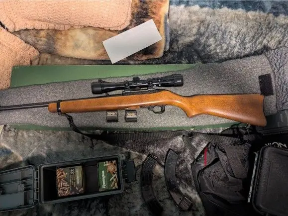 Ruger 10/22