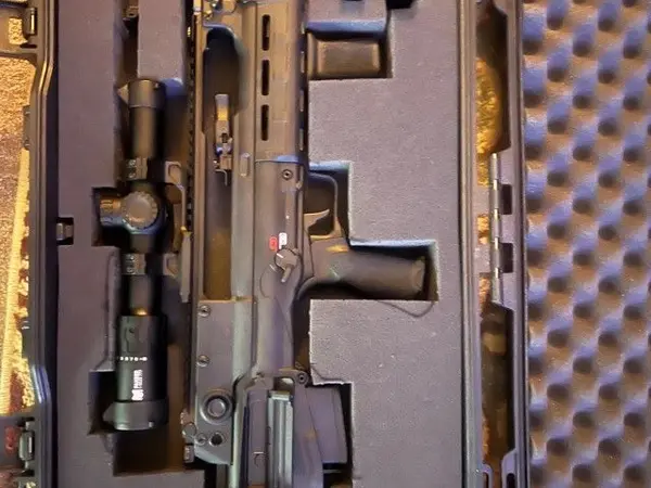 Springfield Hellion