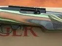 NEW Ruger 10/22
