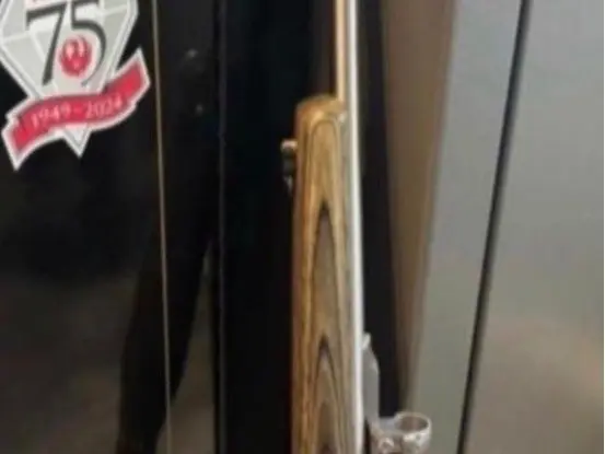 Ruger no1 25-06