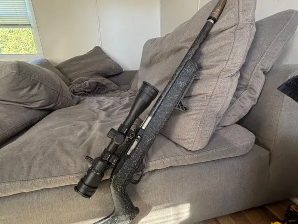 Ruger 10/22