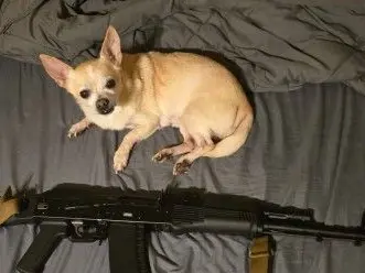 PSA AK-101