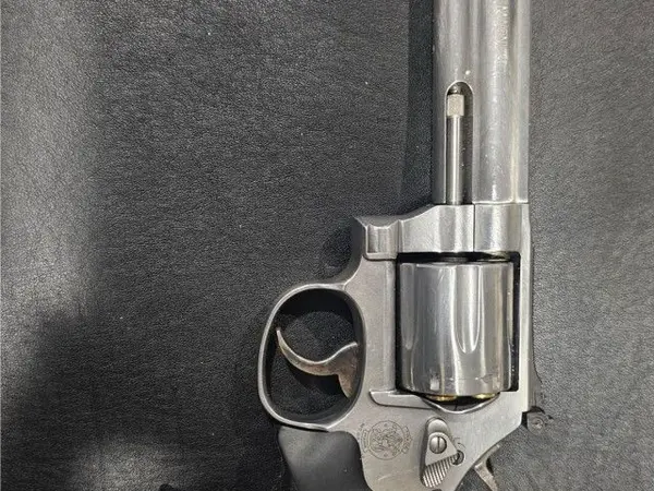 S&W 686 .357 MAG
