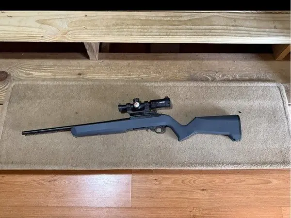Ruger 10/22