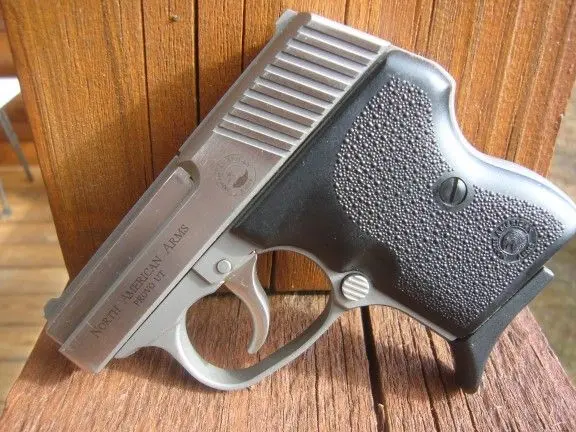 NAA Guardian 7.65/.32 Stainless
