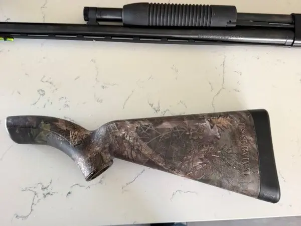 .22 survival rifle