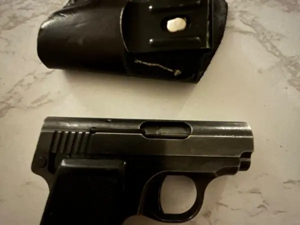 Bauer 25acp with ammo