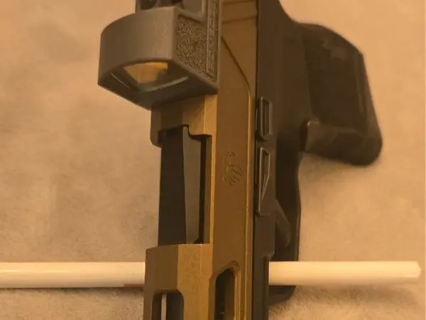 SIG P365