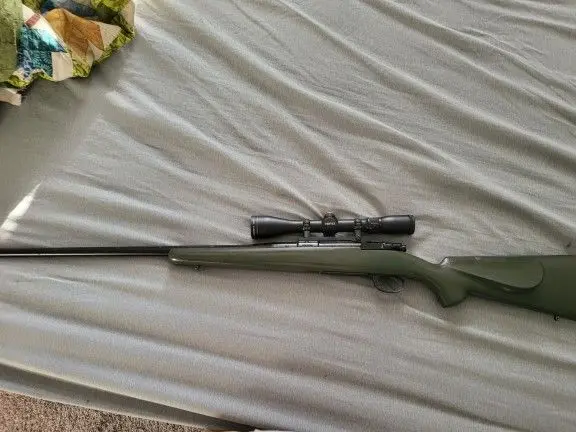 Interarms Mark X .308