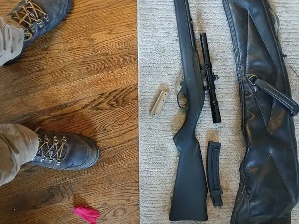 22lr semi rifle