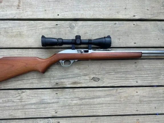 Marlin Stainless model 60 sb