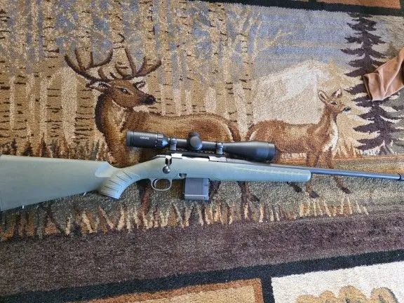 Ruger .223