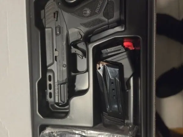 Ruger Security 380