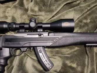 Ruger 10/22