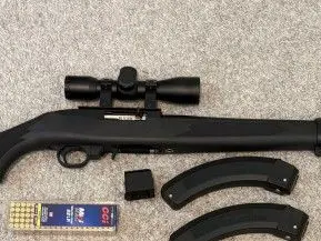 Ruger 10/22 22LR