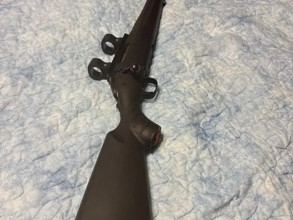 Ruger 308