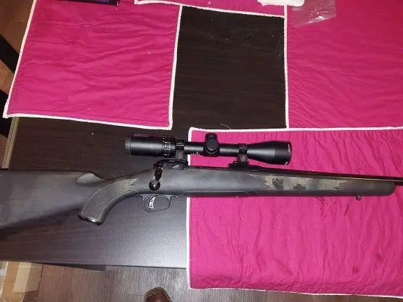Savage model 10 .308