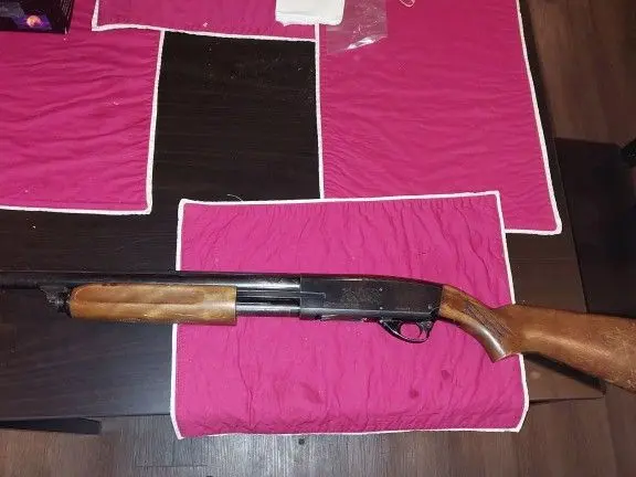 Coast to coast/Savage arms 12 guage pump action