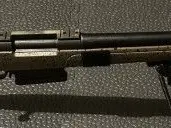 Rem700 300WinMag