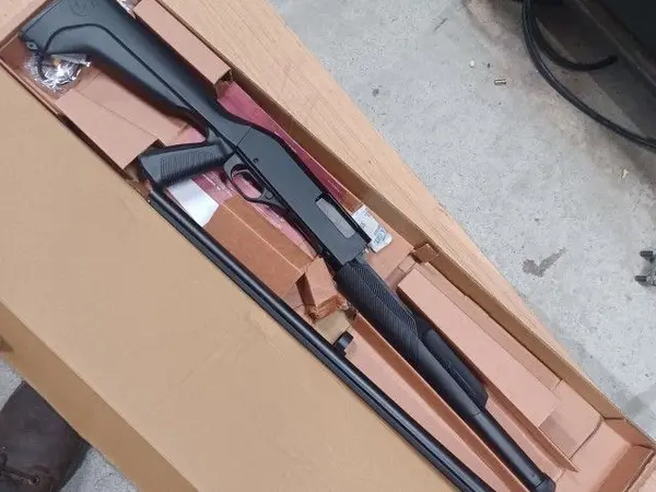 Savage/Stevens 320