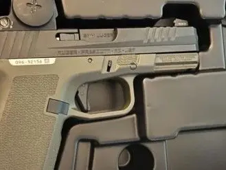 Ruger RXM