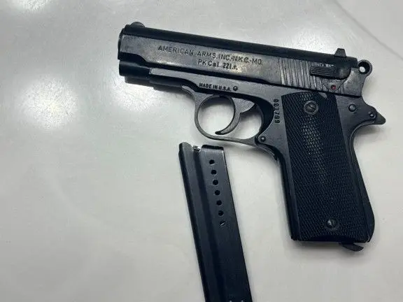 Pk 22 American arms