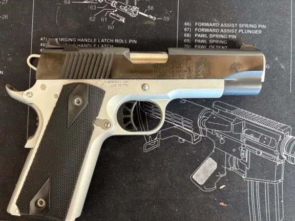 Springfield Ronin