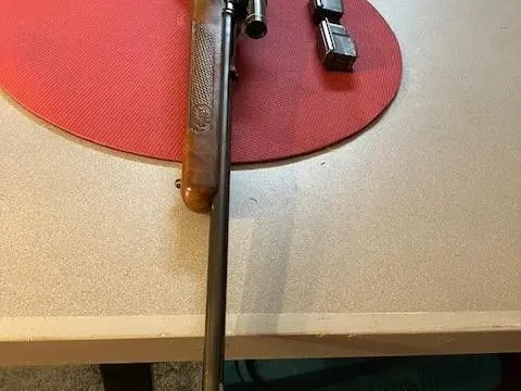 Winchester 100