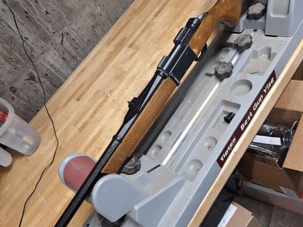 Daisy .22LR