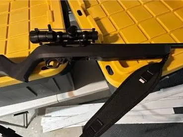 Ruger 10/22