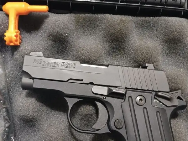 Sig p238
