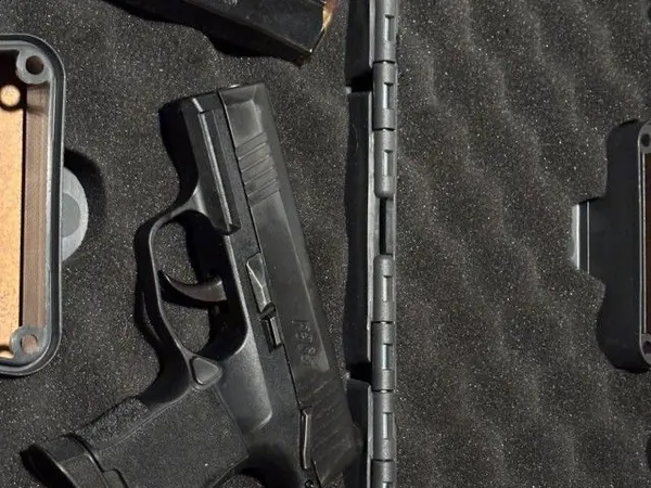 P365