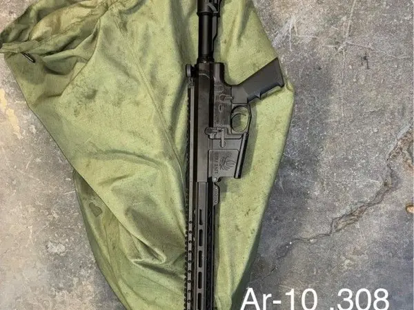 Ar 10 live free