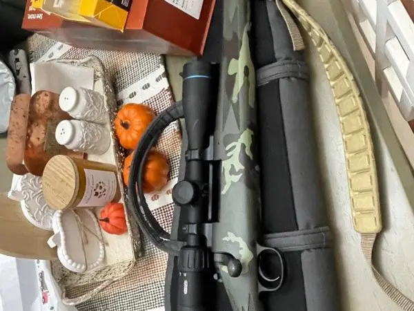 Remington model 700 .270 win