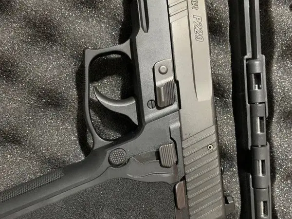 NEW Sig Sauer P2