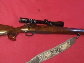 Weatherby Vanguard .270