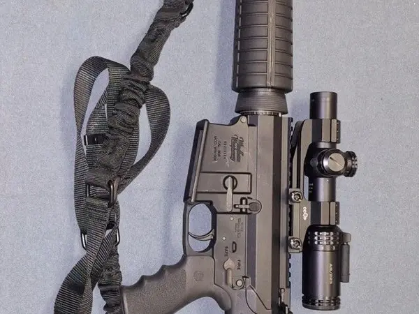 Windham Weaponry AR10