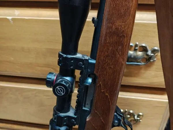 Ruger 10/22