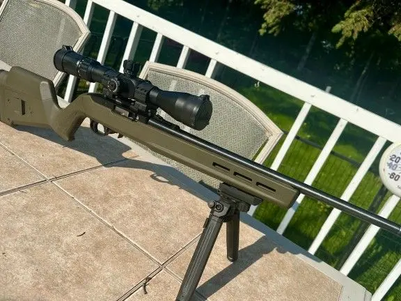Ruger 10/22 Precision Rig