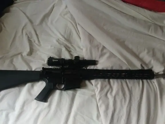 Palmetto AR-10