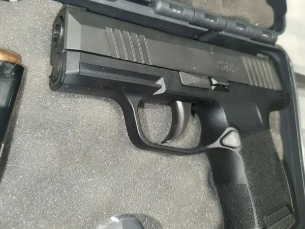 SIG P365