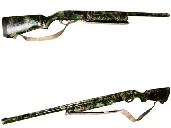 Remington 887 nitro mag