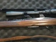 Winchester 100