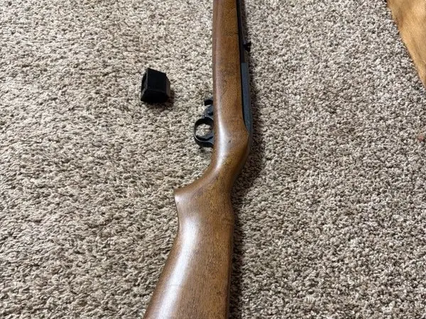 Ruger 10/22 Rifle