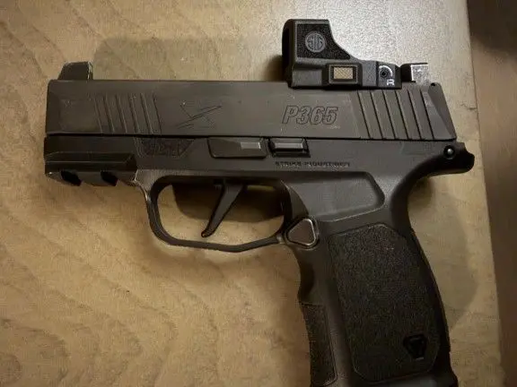 WTS SIG P365X