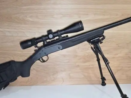 H & R .17 HMR