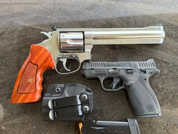 Rossi 357 and Bodyguard 2.0