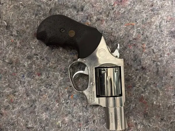 Taurus 357