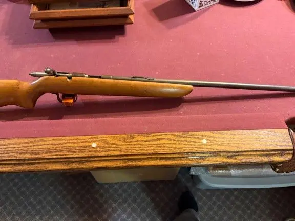Remington model 510 targetmaster