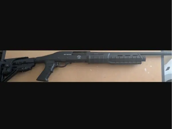 Silver Eagle RZ17 12 gauge